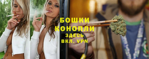 дмт Вяземский