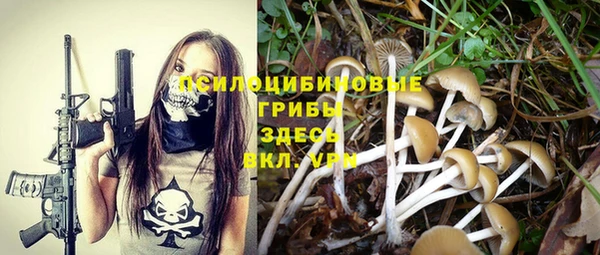 каннабис Ессентукская