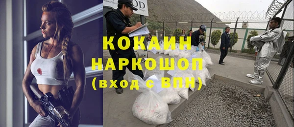 гашик Вязники