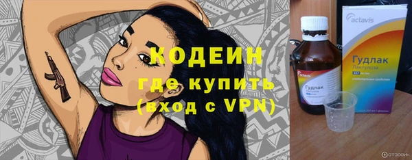 дмт Вяземский